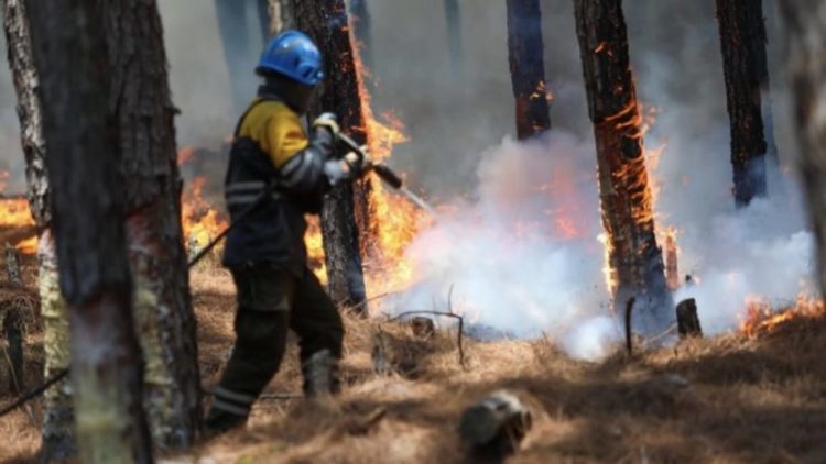 Mais 800 mil hectares foram queimados na cidade argentina de Santo Tomé