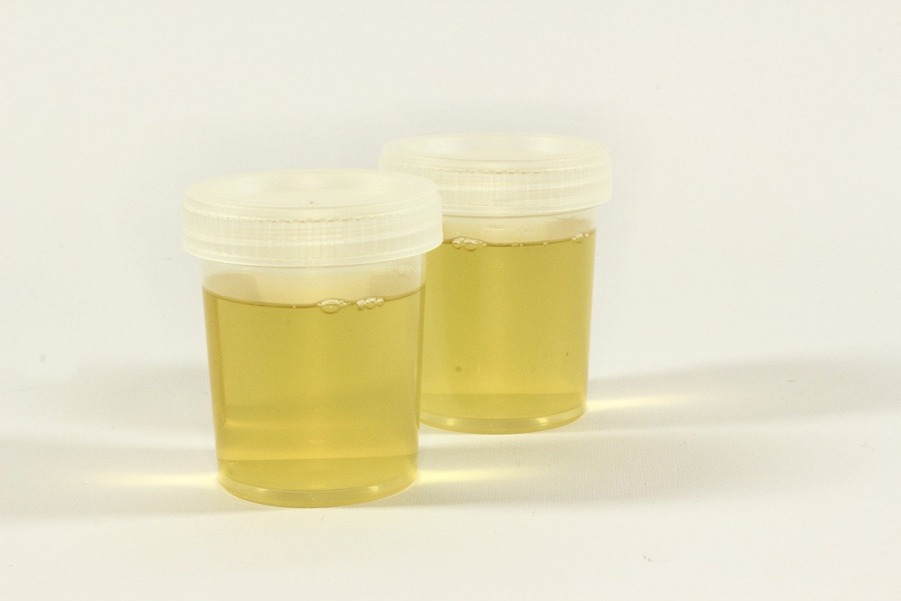 Os cientistas acreditam que o aproveitamento da urina numa escala global pode pode trazer vários benefícios ambientais