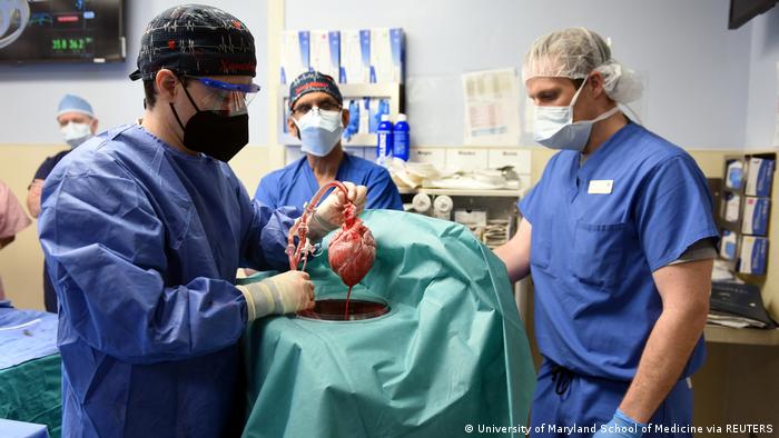 O americano David Bennett, o primeiro paciente a receber um transplante de coração de porco geneticamente modificado