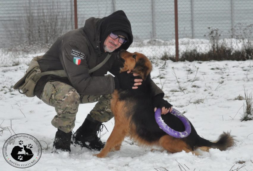 Andrea Cisternino, um ex-fotógrafo que se tornou dono de resgate de animais de Roma, Itália , disse que "prefere morrer" do que deixar os animais