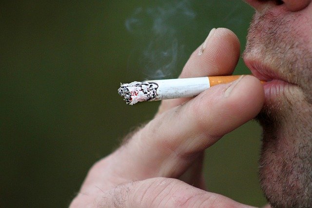 Os pesquisadores afirmam que o hábito de fumar influencia a proliferação de linfócitos e outras células do sistema imunológico