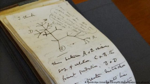 Cadernos foram deixados na biblioteca de Cambridge junto com um bilhete dizendo "feliz Páscoa"