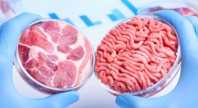 De acordo com este novo estudo, optar por carne desenvolvida em laboratório e por insetos moídos poderia resultar em poupanças em emissões de carbono e água