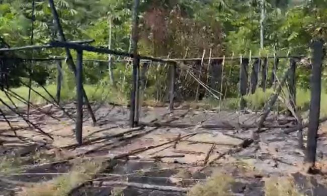 Aldeia que abrigava 24 Yanomamis amanheceu queimada e totalmente destruída