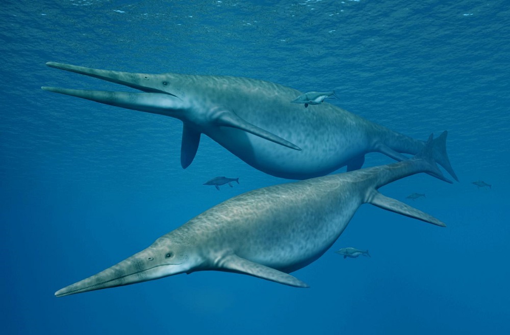 Há 200 milhões de anos, os ictiossauros gigantes foram extintos e apenas animais menores, semelhantes a golfinhos, viveram até 90 milhões de anos atrás.