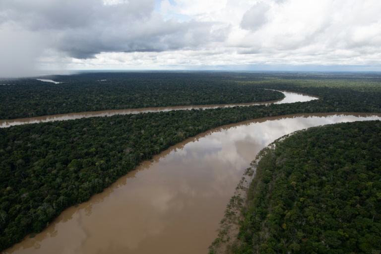 Região de Atalaia do Norte, no estado do Amazonas, onde Dom e Bruno atuavam