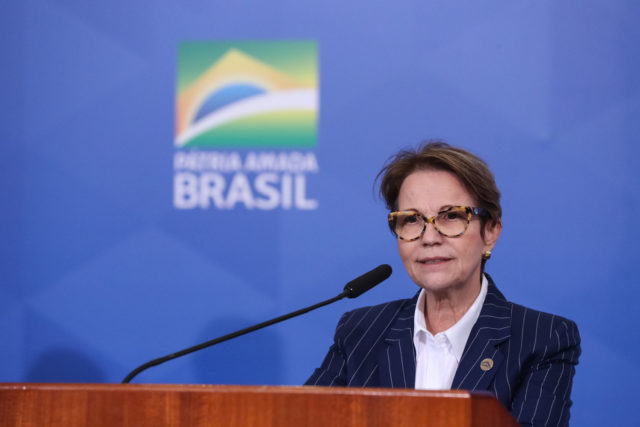 Centrão pressiona Bolsonaro por nome de Tereza Cristina na vice
