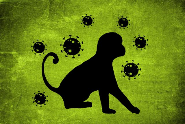 A varíola dos macacos é uma doença causada por vírus