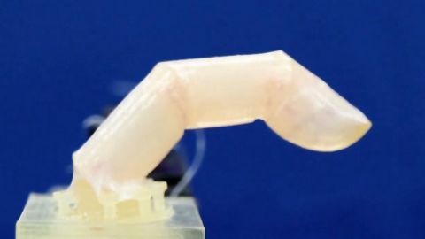 Pela primeira vez, os cientistas aprenderam a cultivar pele humana em um dedo robótico usando células, revelou um novo estudo