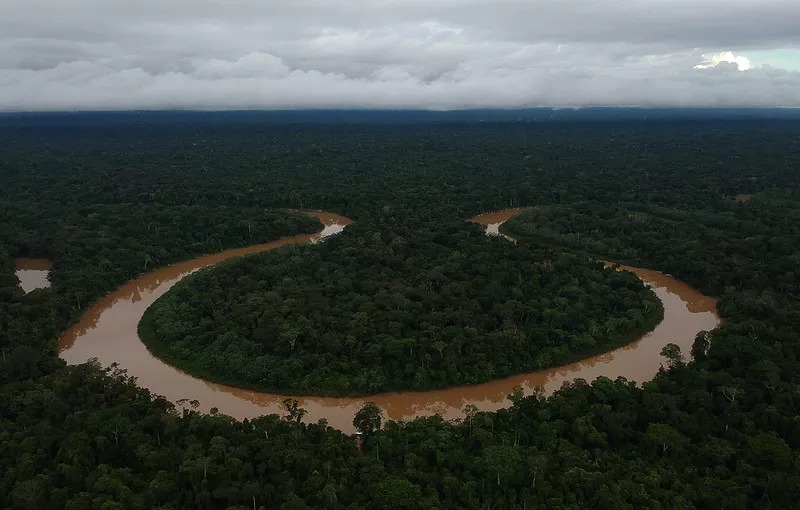 Imagem da Terra Indígena do Vale do Javari em 2018