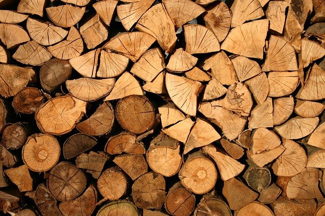 A nova descoberta promete ajudar a reduzir o desmatamento e permitir que as pessoas criem móveis de madeira sem afetar a natureza.