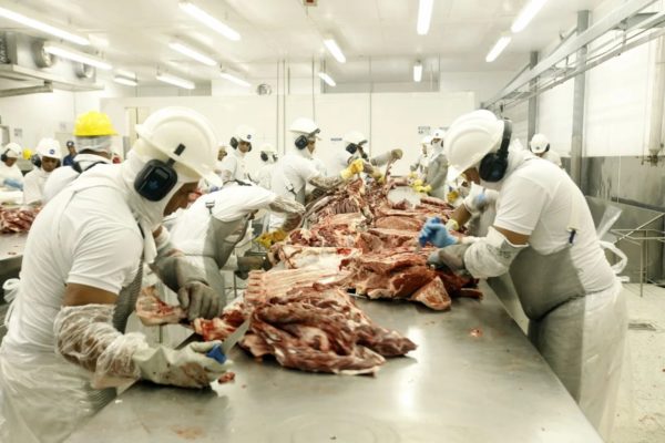 carne exportação