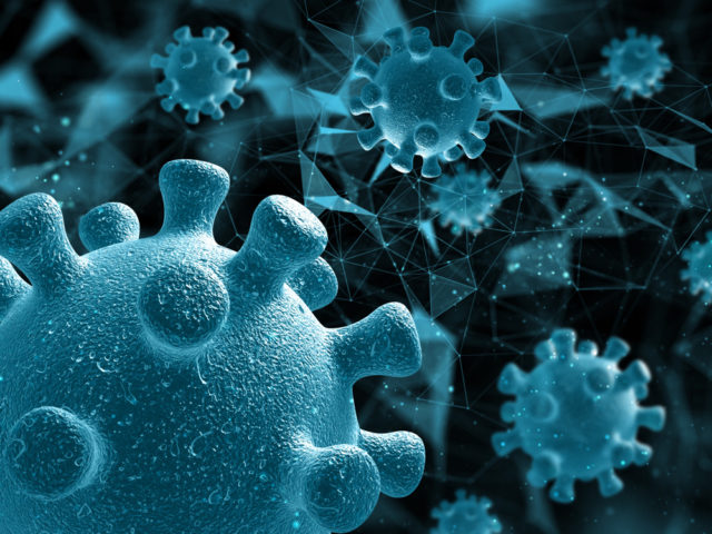 Chamado de Langya henipavirus (LayV), o vírus foi identificado na China