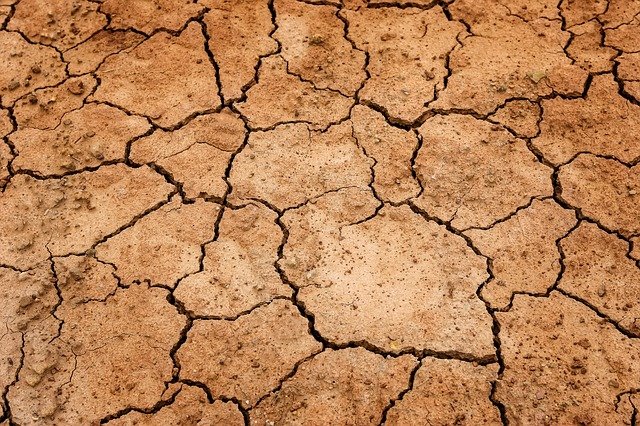 45% das terras estão agora cobertas por "alertas", o que significa que há um déficit de umidade no solo, enquanto 15% estão sob o nível mais severo