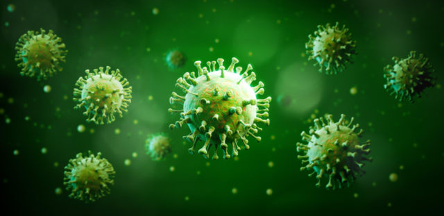 É a primeira vez que o vírus Langya é detectado em humanos