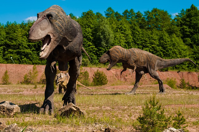 O estudo se baseia em um debate sobre se os dinossauros chegaram a um fim abrupto ou já estavam à beira da extinção antes de um asteroide