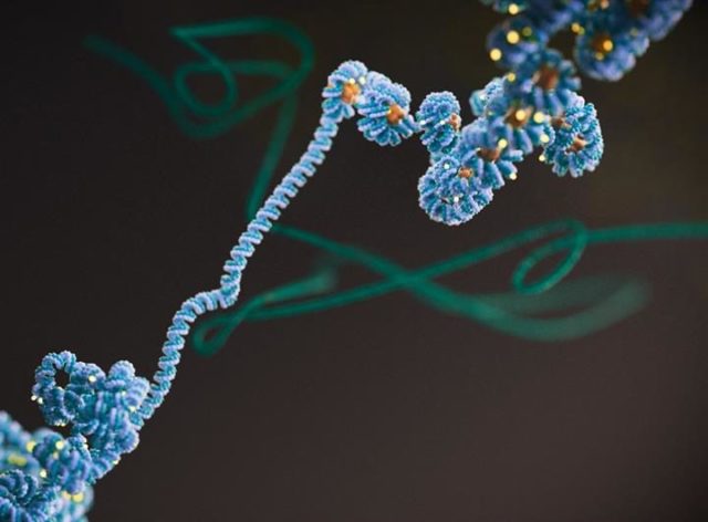 Estudos dão mais detalhes do papel epigenética na evolução do câncer