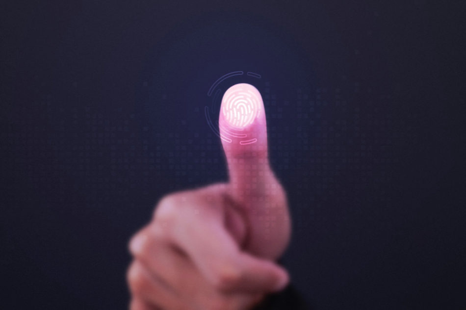 A biometria física considera o reconhecimento da impressão digital, da face, da retina, da íris e da voz