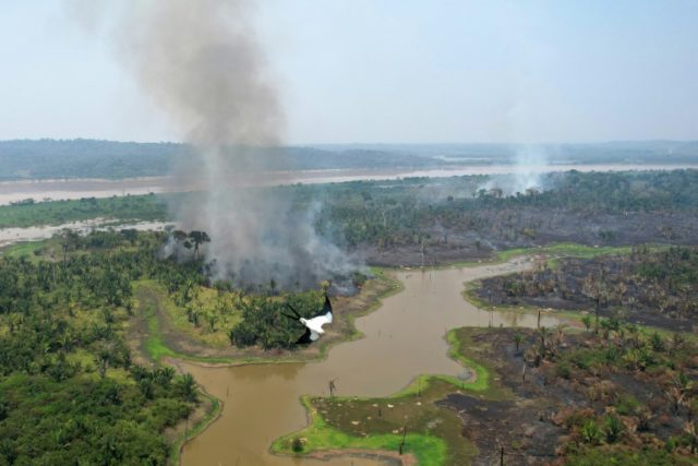 Brasil registra pior outubro em desmatamento desde 2015