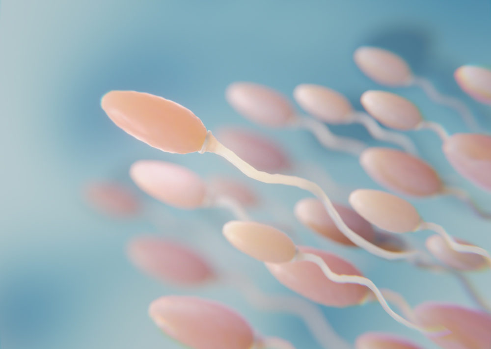 O estudo mostra que a contagem de esperma está caindo a uma taxa de cerca de 1,1% ao ano