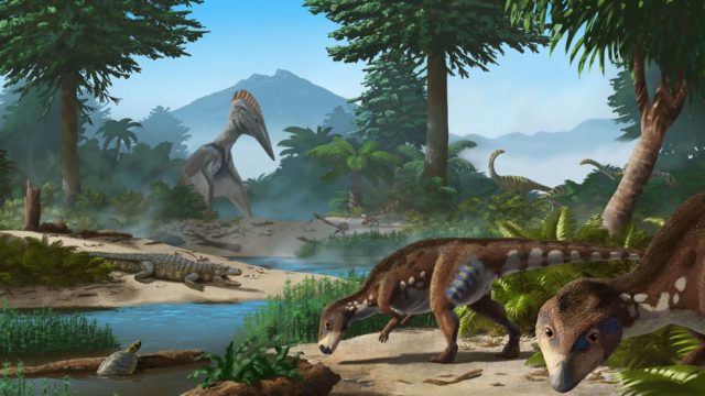 Esses dinossauros que viviam na região da Romênia eram menores do que seus parentes em outros lugares
