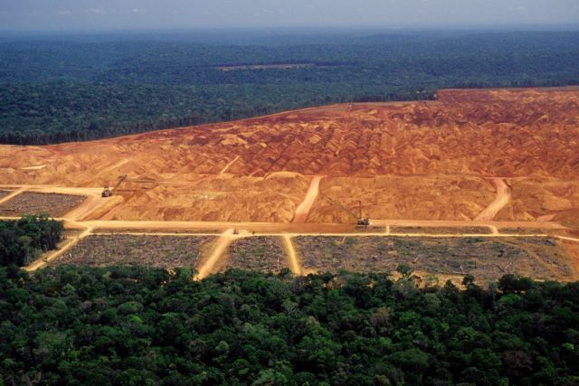 Entenda por que o Brasil virou alvo da lei aprovada na Europa contra o desmatamento
