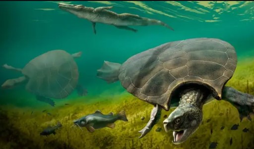 A equipe de pesquisa estimou que o antigo animal viveu durante a Era Campaniana do Cretáceo Superior, tendo pelo menos 72 milhões de anos.
