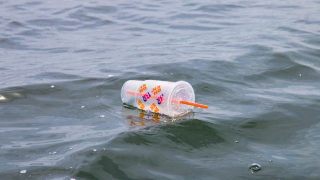Segundo estimativas do ministério, a Inglaterra utiliza quase três bilhões de talheres e 721 milhões de pratos de plástico de utilização única todos os anos