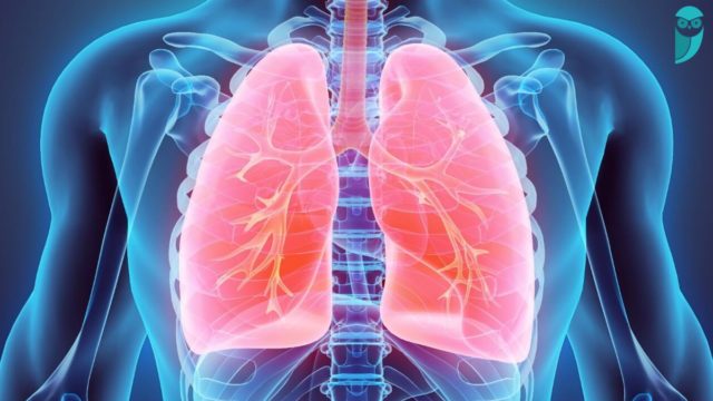 O estudo, publicado no New England Journal of Medicine em 4 de junho, analisou pacientes diagnosticados com câncer de pulmão de células não pequenas.