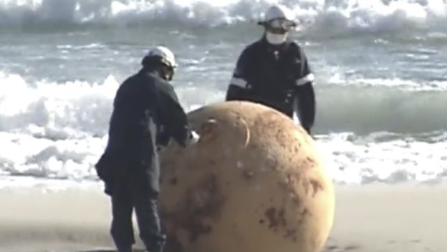 A polícia fechou a praia enquanto examinava e fazia um raio-X do objeto, considerando-o seguro. Ele será removido da praia em breve