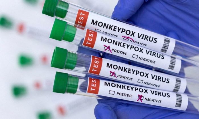 Varíola dos macacos: Saúde vai começar a vacinar dia 13; veja os grupos elegíveis