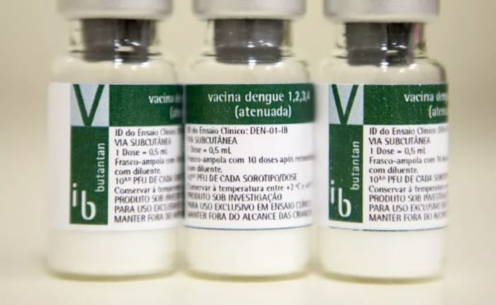 Anvisa aprova 1ª vacina contra a dengue de uso amplo; eficácia é de 80%