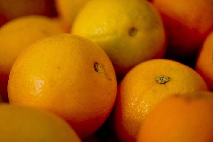 Safra 2023/24 de laranja deve atingir 309,34 milhões de caixas, diz Fundecitrus