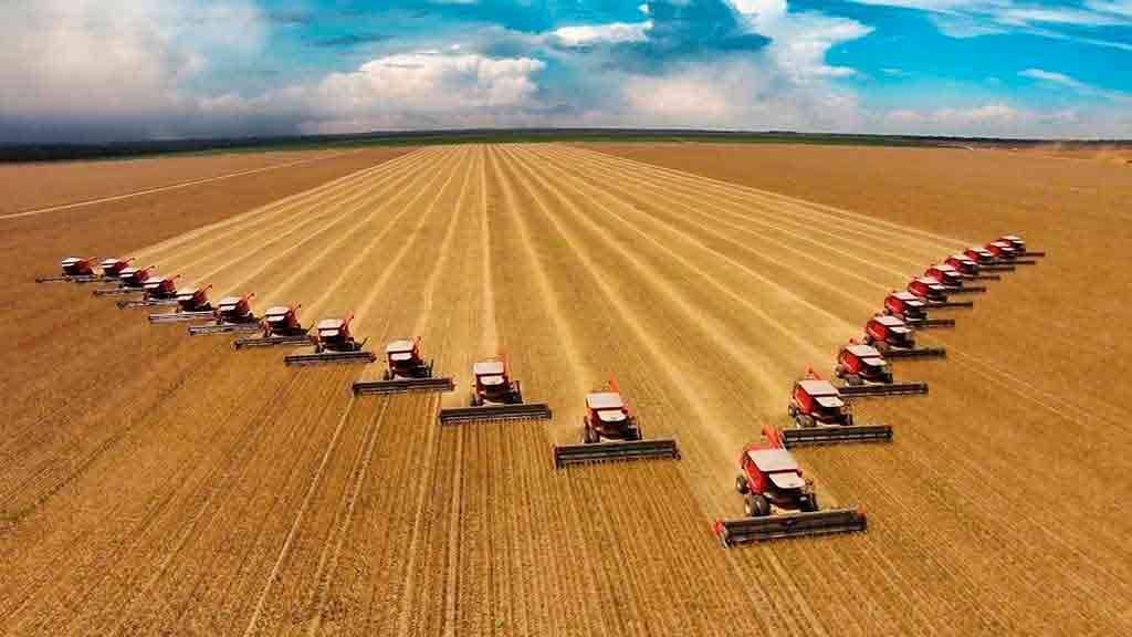 IBGE projeta queda de 3,7% na safra de grãos em 2026, depois de recorde em 2025