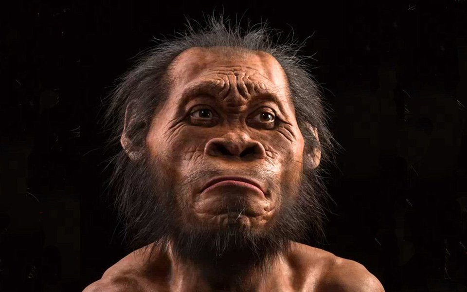 As revelações podem mudar a compreensão da evolução humana, porque até agora tais comportamentos só foram associados a Homo sapiens e neandertais