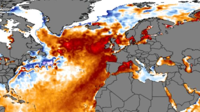 Partes do Mar do Norte estão passando por uma onda de calor marinho de categoria 4, definida como “extrema”. A água chega a 5º mais quente do que o normal