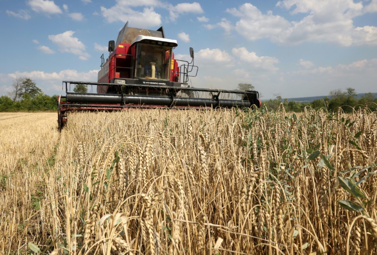Polônia, Hungria e Eslováquia desafiam UE e afirmam que vão manter restrição a grãos da Ucrânia