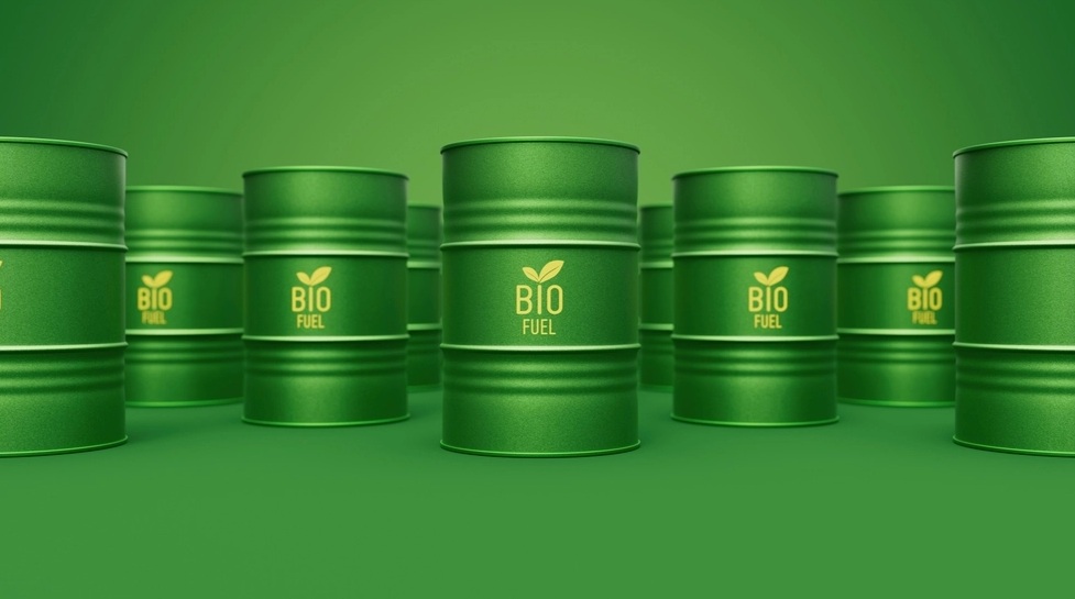 Biodiesel