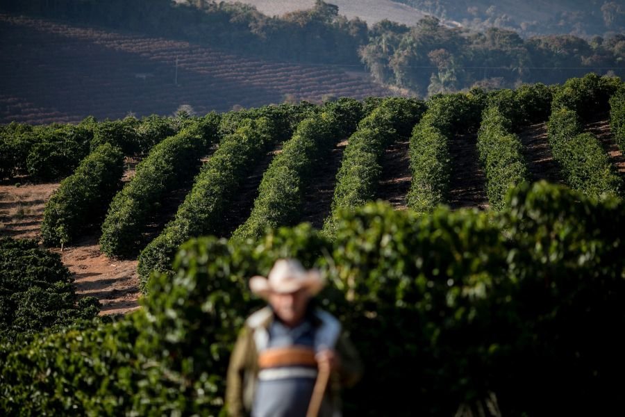O que esperar para o preço e recomposição de estoques de café