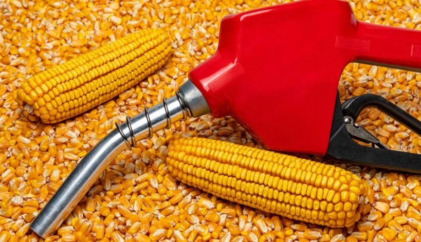 BRAZIL JOURNAL: Inpasa, gigante do biocombustível, monta posição na Vibra