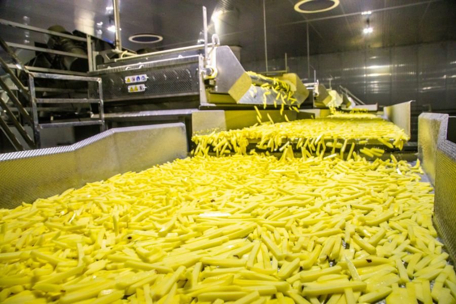 Empresa de MG cresce com boom da air fryer e lidera mercado de batata frita do Brasil