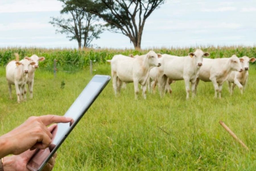 Startups do agro captaram R$ 1,13 bi em 2024, com destaque para soluções ‘antes da porteira’