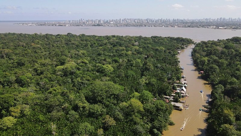 Brasil anuncia aporte de US$1 bilhão em fundo global para proteção de florestas