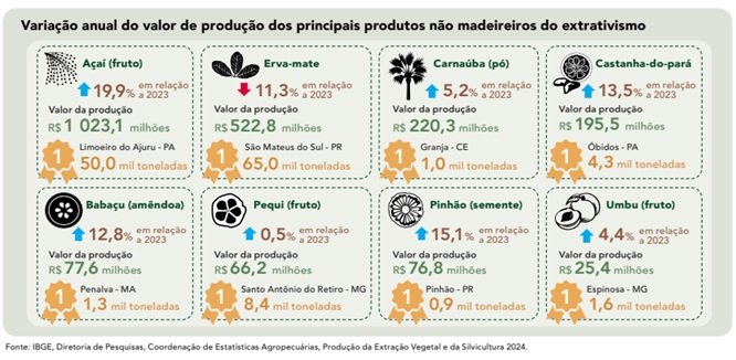 Florestas plantadas