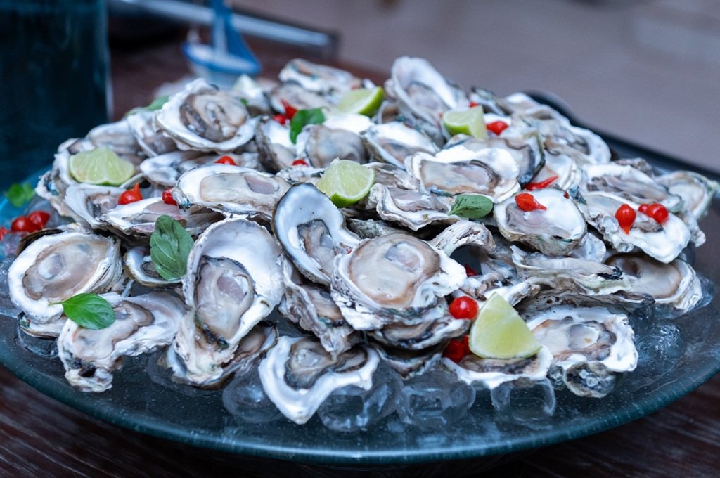 Inpi emite registro de indicação geográfica para ostra do Paraná