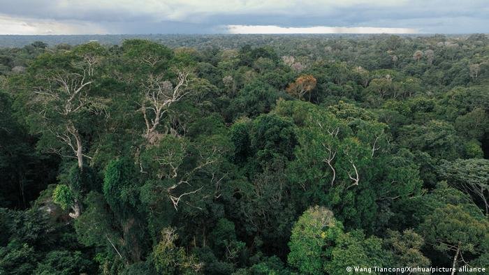 Alemanha anuncia € 1 bilhão para fundo de florestas do Brasil