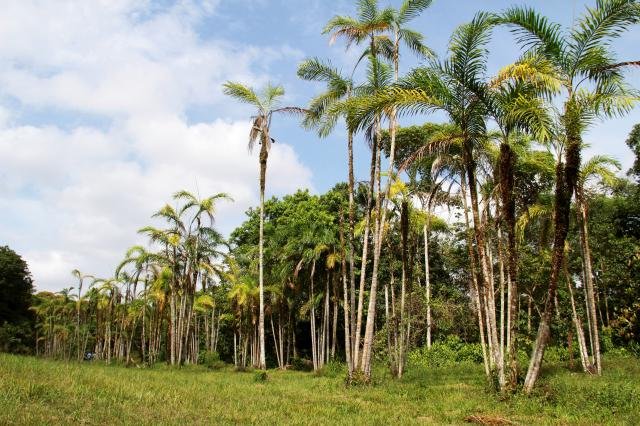 Ticketmaster expande atuação no Brasil com empresa de Gusttavo Lima