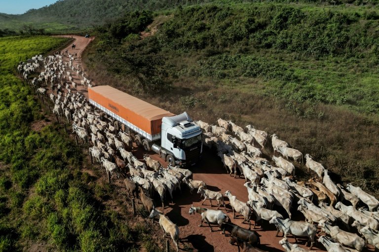 Acordo UE-Mercosul: entenda o que está em jogo e quem apoia e quem se opõe