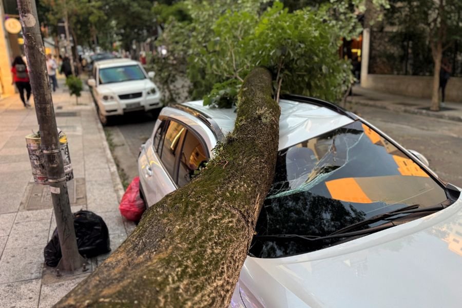 Enel SP pode ter direito a indenização bilionária se perder concessão; entenda
