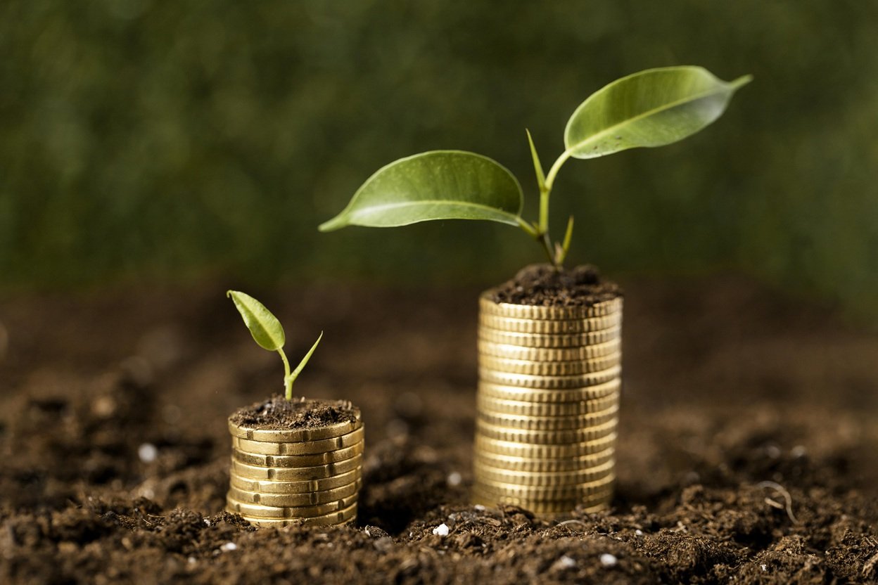 Juros compostos: quanto terei daqui 5, 10 ou 20 anos se investir R$ 50 mil hoje?
